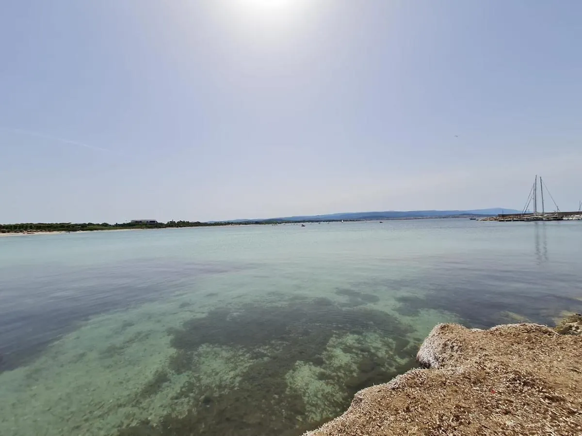 Lupa - La Flotta Di Willy Gio Hotel Alghero